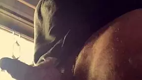 Lluvia De Penes By Bad Wolf28