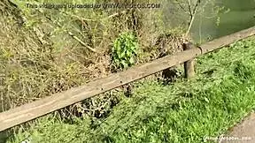 i went to bensoncon in france