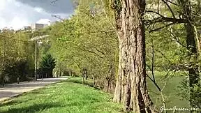 i went to bensoncon in france