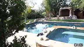 In Wankz fantasy, a blonde celebrity endures rough fucking and blowjob.