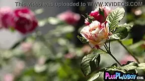 Perfect Blonde Teen Exposes All Natural Naked Body