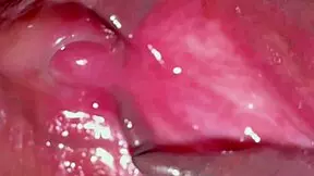 Amateur Pink Pussy 237 Days After Losing Virginity