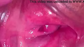 Amateur Pink Pussy 237 Days After Losing Virginity