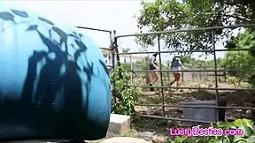 Slutty Cowgirls Riding Cock On The Farm