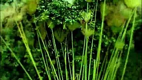 i luv busty teens big tits outdoors so much!!