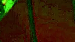 Milf Tricks Shy Teen into Outdoor Strapon Double Penetration Orgy!