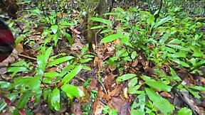 thai babe hikes forest then bends over for raw pussy pounding??