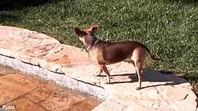 vanessa cage bts backstage teases ass tits pussy in cage pornstar fun 😏🍑🔥