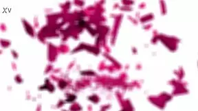 Skinny Teens Lili Charmelle and Selva Lapiedra Rim Each Other in Hot MFF Anal Threesome HD