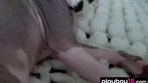 Petite American Blondie Rachel Harris Strips Lingerie to Reveal Massive Natural Boobs