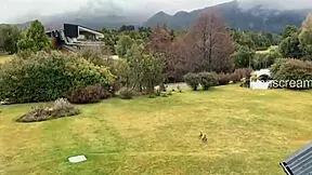 parents home but she begs me cum in mouth pov blowjob