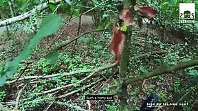 Public Slut Harleenvan Hnyten Fucked Hard By Stevenshame In Car Cumshot Dating