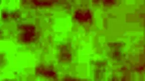 Young Boy Jerks Cock Hard Masturbating Solo