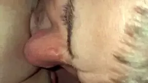 Ever had your pussy licked this good by a pro?