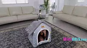 step daddy fucks good girl hard with monster cock!