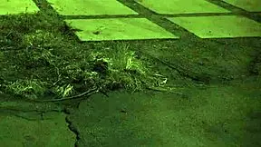 BOUND TEEN Dares EXTREME Bondage Sex - Get EROTIC with Her DOMINATED Body Now!!