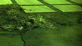 Redhead teen bound for intense strap-on domination and BDSM pounding