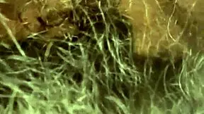 She sucks his dick then gets fucked publicly before swallowing cum