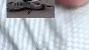 Two Lovers Enjoy Bent Over Doggystyle Big Cock Moaning Missionary