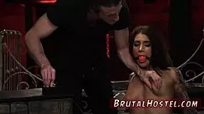 you ever seen grandpa bind and ravage excited teen tourists like felicity feline?