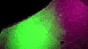 curvy latina hermanastra shakes her fat ass begging for more spanks and submission