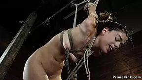 Petite Slave's Hogtied Body Takes Brutal Whips