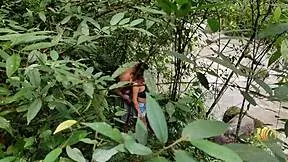 rioc and mara caught fucking hard by the river, wanna join? 🌊💦