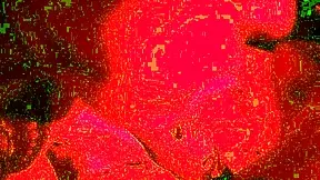 hot tattooed brazilian bbw milf swaps cum after big cock interracial anal pounding 😈💦