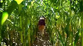 wanna see my horny slut wife suck monster cock in cornfield?