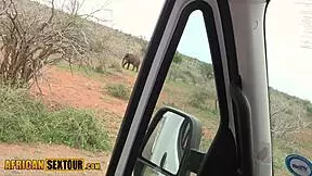african ebony teen's big ass bounces in rough safari fuck