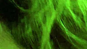 french canadian milf mommy slurps my latin cock in hotel