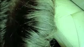 Elena koshka spots that huge monster cock and goes wild sucking hard