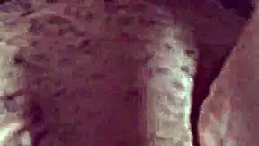 teddy bizzy pounds spanish mami's ass in trap house interracial bang?