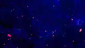 Michy Perez Takes Intense DAP Anal Double Deep Balls Pissing Gaping Cowgirl Skinny Latina Fury