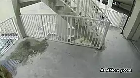 spicy broke 18+ latina teen flashes in public mall parking lot then blows and fucks hardcore outdoors homemade reality style