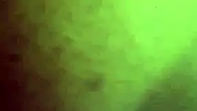 Young Stud's Monster Cock Pounds Fat BBW Big Ass Curvy Slut