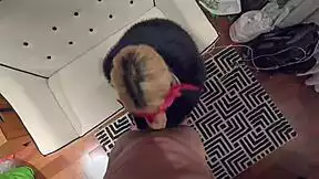 Elenaxxx Delivers Couch BJ And Bed Missionary!