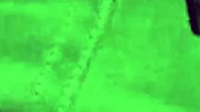 Stepsister's Huge Ass Demands My Hard Pounding Fuck!