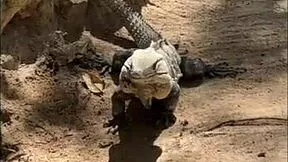Paradise Nympho Digs Sand-Covered Creamy Pussy