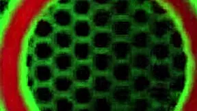 petite bailey paige's sweaty feet give phillyjhon intense footjob till cum