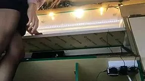 tracy teases with upskirt flashes at work in stockings part 3