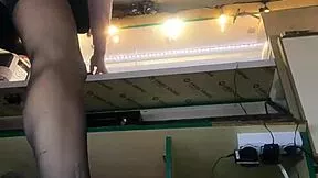 tracy teases with upskirt flashes at work in stockings part 3