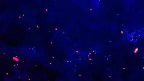 hey two huge cocks destroying beautiful latina mina's tight anal in hardcore dap balls deep