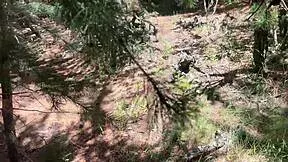 Teacher bends me over forest log for anal pounding