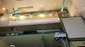 yo check out this super cute stepdaughter's upskirt hidden cam at work 😏