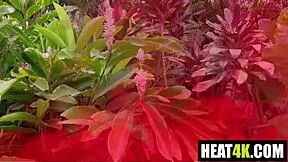 gotham greenhouse porn parody vol 2 stars melanie hicks sucking ace bigs huge cock