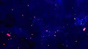 Mia Bloom takes Hanzo Black's BBC deep in her ass for first time balls deep