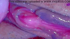 Is Amateur Pink Pussy Still Dripping Wet 230 Days Later?