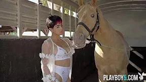 Big Natural Tits Latina Model's Curvy Solo Tease Session