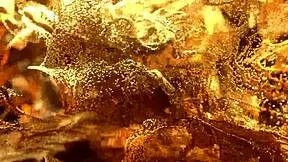 natasha fists belinda's tight teen ass how does that feel!?